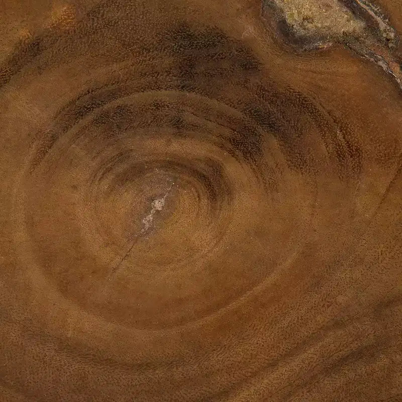 Table d'appoint ronde 22" en teck recyclé | Piètement tripode rustique, aucun assemblage requis