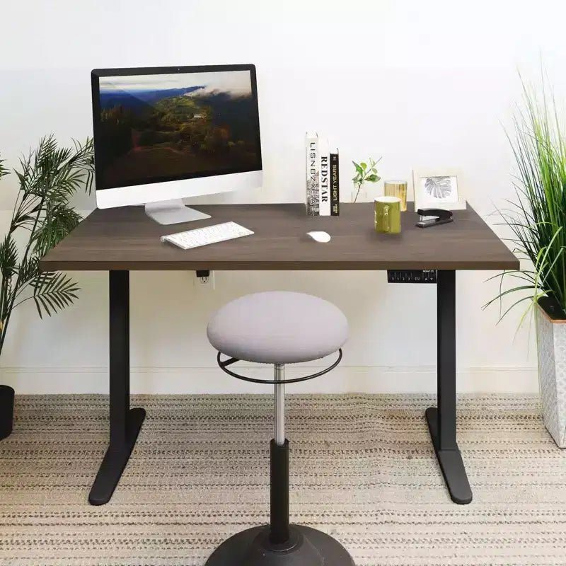 Mount-It! Bureau debout électrique à deux moteurs avec plateau de 55", Adrift et Noir